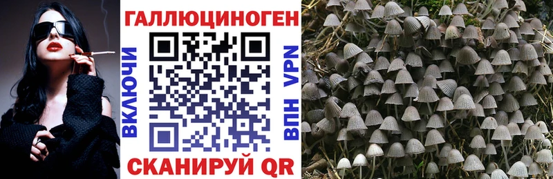 Галлюциногенные грибы Magic Shrooms  ссылка на мегу   Высоцк 